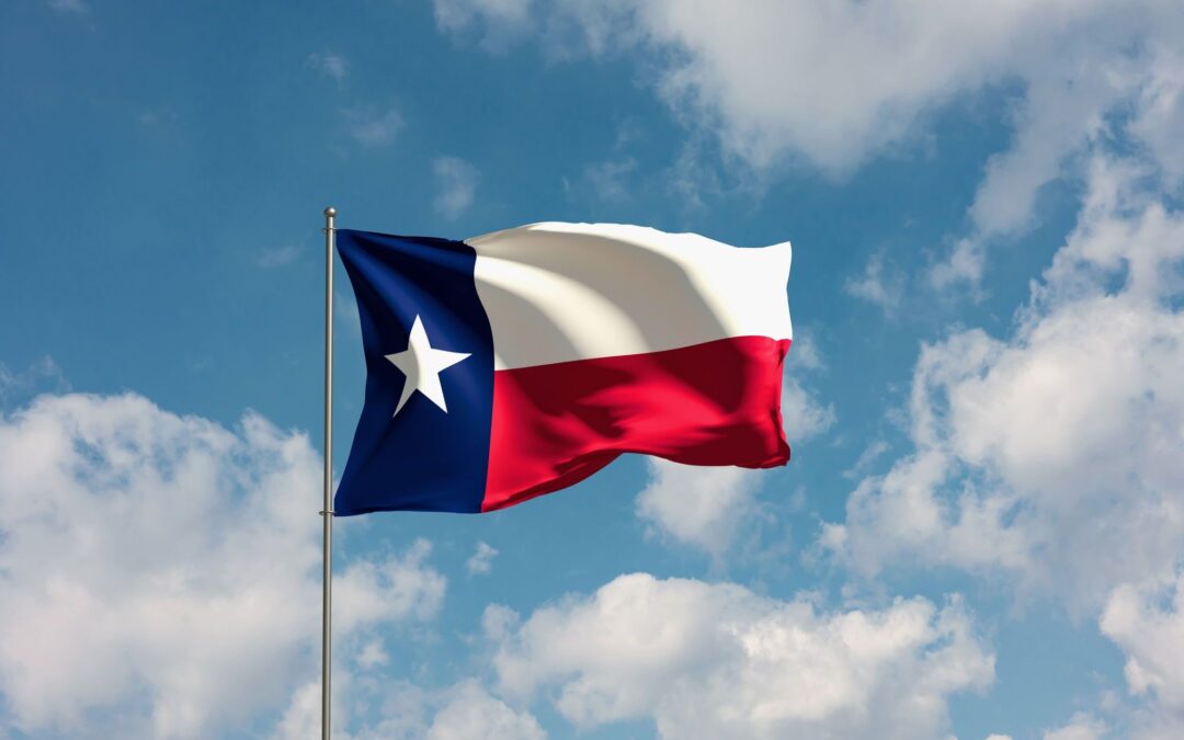 Texas Court Blocks FTC’s Non-Compete Ban