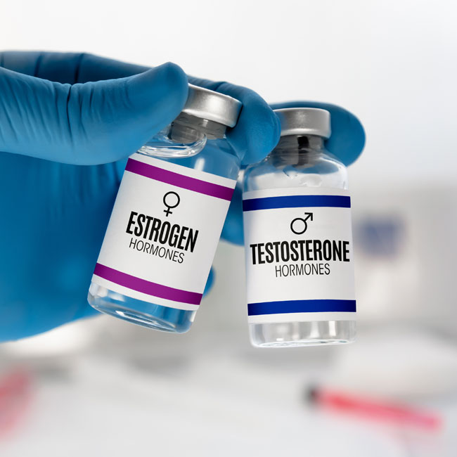 estrogen-hormones-testrone-harmones
